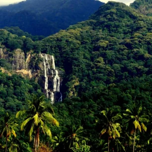 Udzungwa Mountain National Park