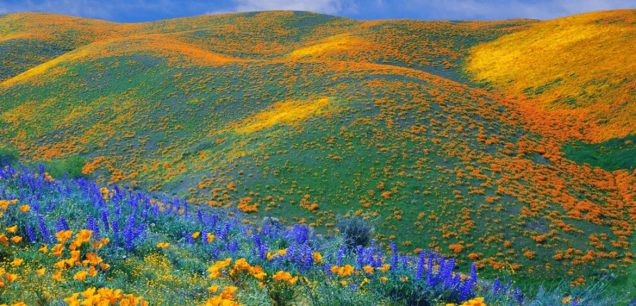 Kitulo Plateau National Park