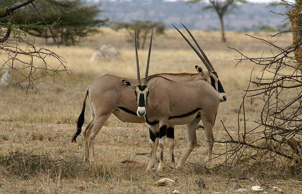 MKOMAZI-NATIONAL-PARK2