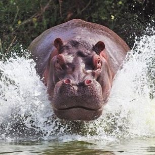 Katavi National Park