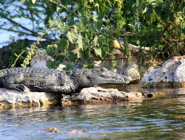 Rubondo National Park